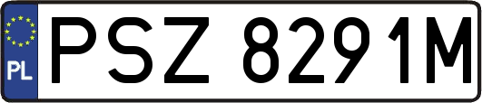 PSZ8291M