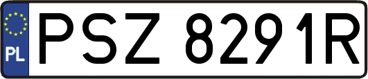 PSZ8291R