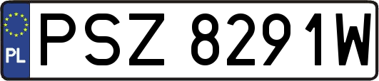 PSZ8291W