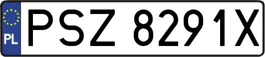 PSZ8291X