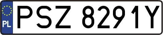 PSZ8291Y