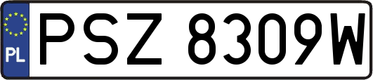 PSZ8309W