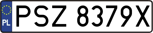 PSZ8379X