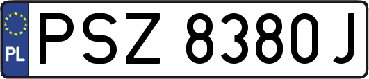 PSZ8380J