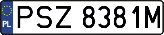 PSZ8381M
