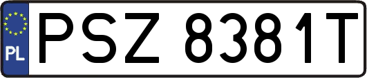 PSZ8381T