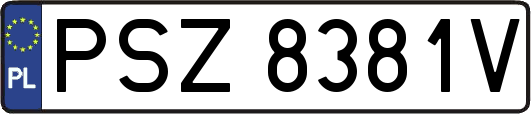 PSZ8381V