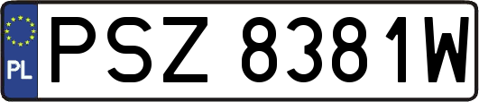 PSZ8381W