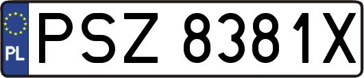 PSZ8381X