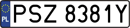 PSZ8381Y