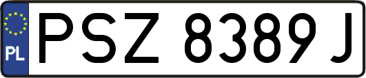 PSZ8389J