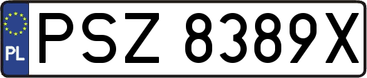 PSZ8389X