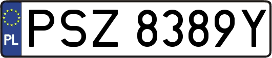 PSZ8389Y