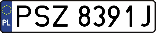 PSZ8391J