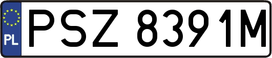 PSZ8391M