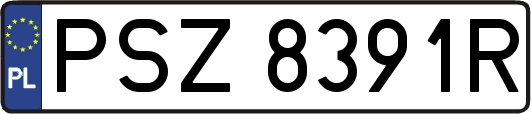 PSZ8391R