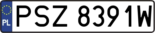 PSZ8391W