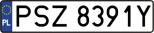 PSZ8391Y
