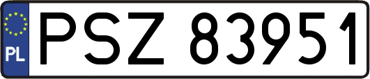PSZ83951