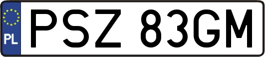PSZ83GM