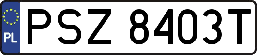 PSZ8403T