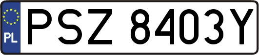 PSZ8403Y