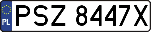 PSZ8447X