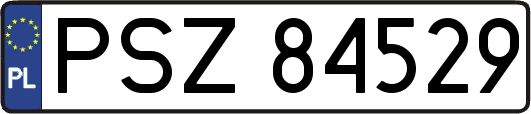 PSZ84529