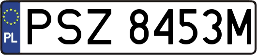 PSZ8453M