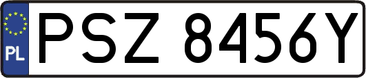 PSZ8456Y
