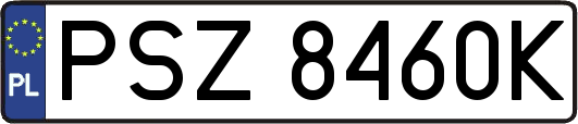 PSZ8460K