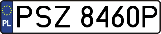 PSZ8460P