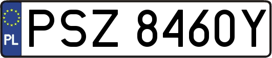 PSZ8460Y