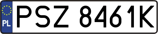 PSZ8461K