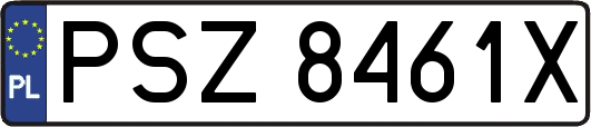 PSZ8461X