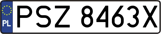 PSZ8463X