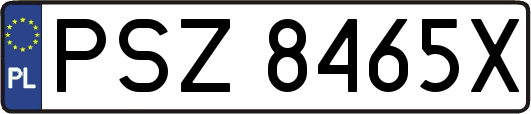 PSZ8465X