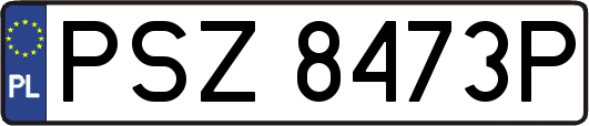 PSZ8473P