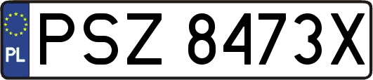 PSZ8473X