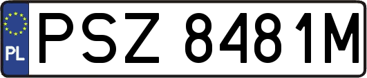 PSZ8481M