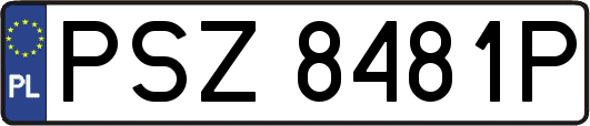 PSZ8481P
