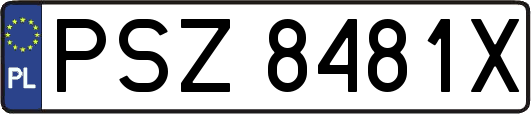 PSZ8481X