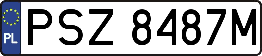 PSZ8487M