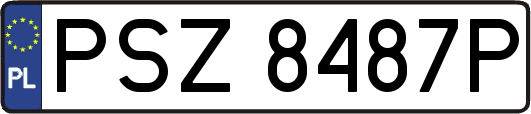 PSZ8487P