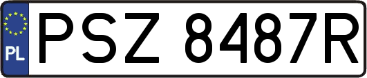 PSZ8487R