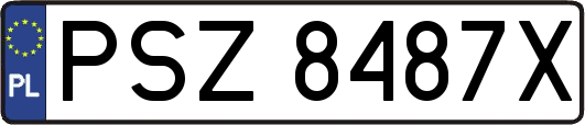 PSZ8487X