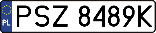 PSZ8489K