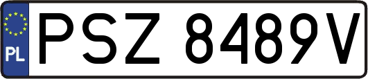 PSZ8489V