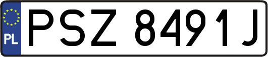 PSZ8491J