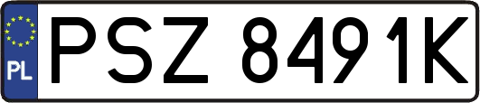 PSZ8491K
